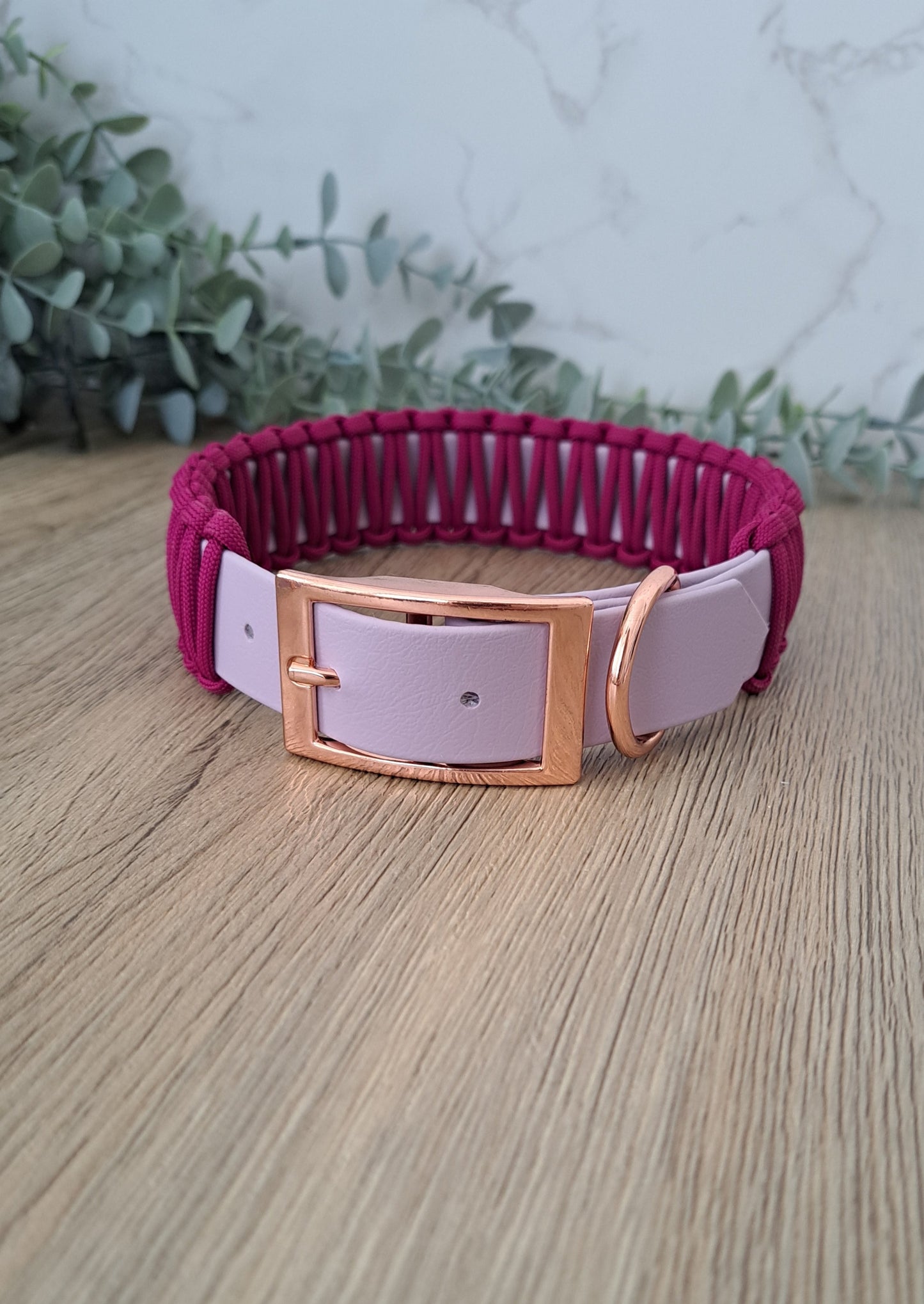 Sofortkauf Halsband Biothane mit Paracord L