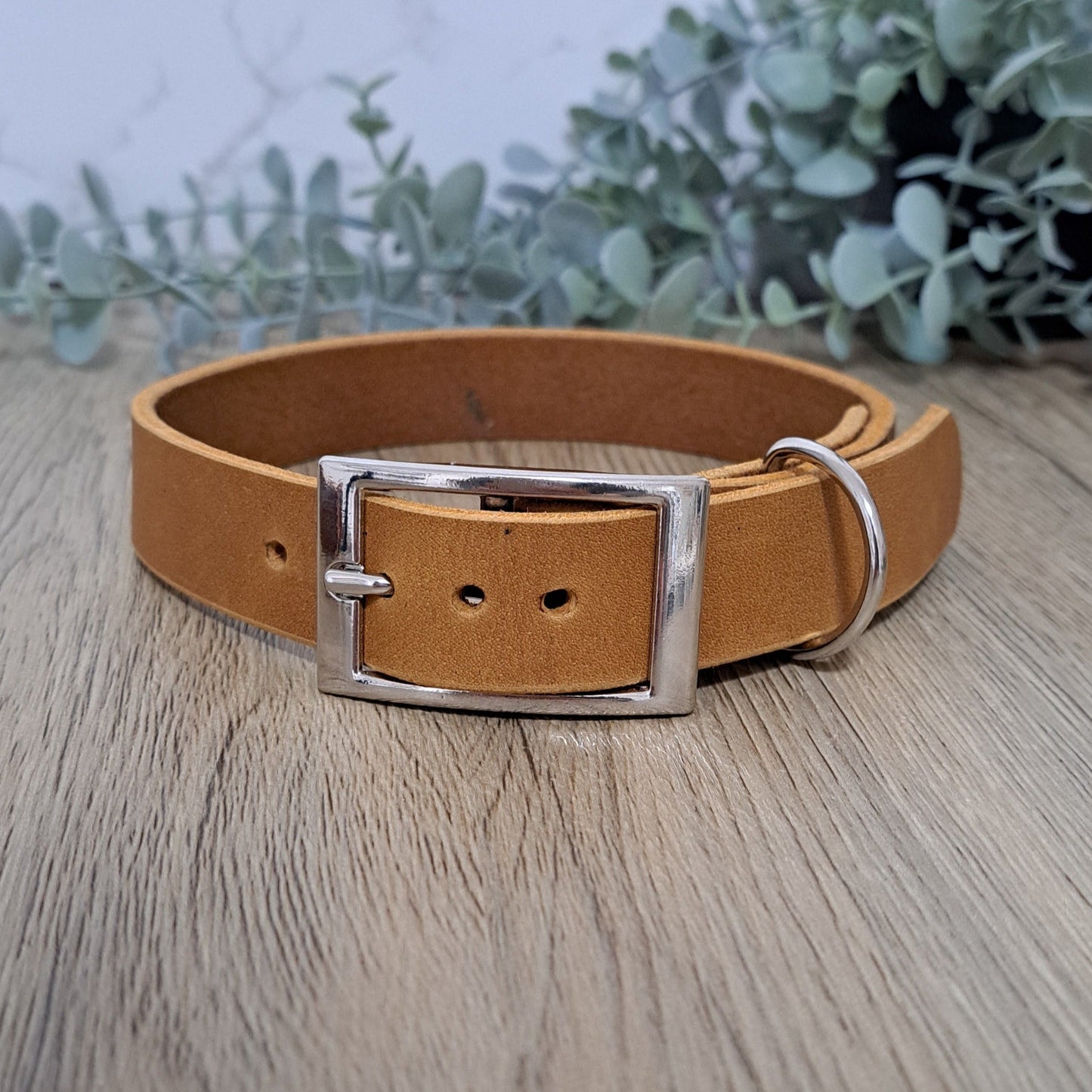 Fettleder-Halsband "Hazel", 40-45cm